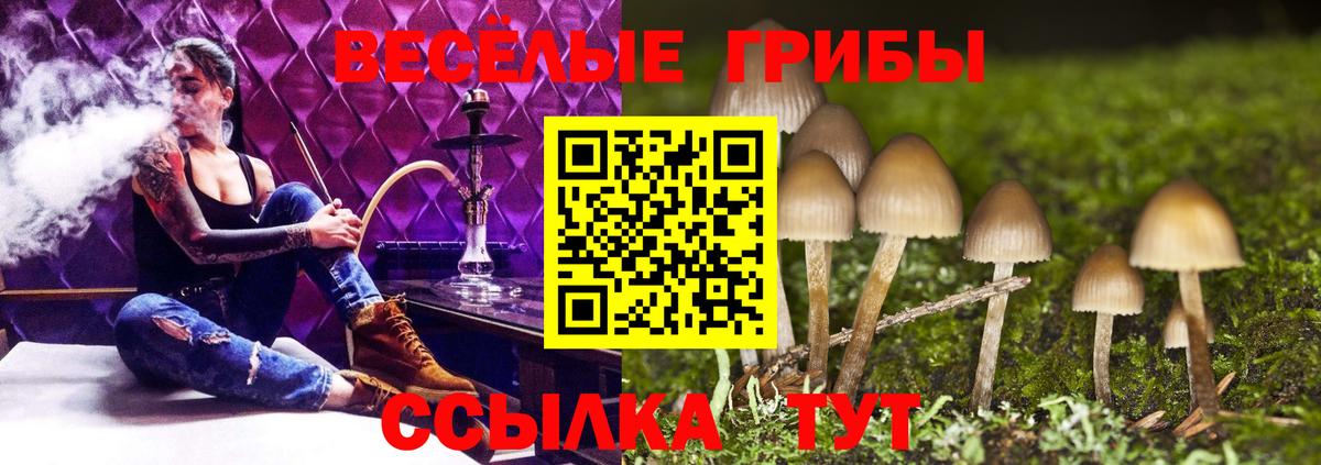 Псилоцибиновые грибы Cubensis Зеленокумск